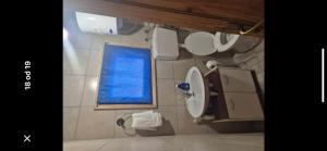 a bathroom with a toilet and a blue window at Chill & Woods in Štrucljevo