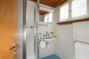 a bathroom with a shower and a sink at Hotel Alpina in Zermatt