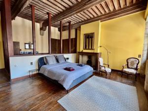 a bedroom with a large bed and a fireplace at Le dardenne-Hôtel particulier historique in Villefranche-de-Rouergue