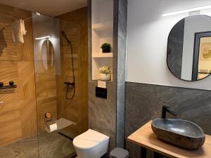 a bathroom with a sink and a toilet and a mirror at Kolibe Doftana in Trăisteni +52 photos