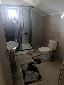 ein Badezimmer mit Dusche, Toilette und Waschbecken in der Unterkunft Harmony Haus in Visoko + 13 Fotos
