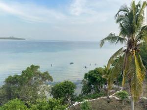 a beach with palm trees and people in the water at Durano Seaside Retreat in Mercedes