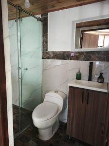 a bathroom with a toilet and a sink and a shower at Suite Central Campestre - Casa Matula in Popayan
