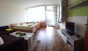 TV a/nebo společenská místnost v ubytování Ferienwohnung - Apartment Pichlarn Irdning