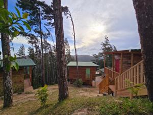 a cabin in the woods with a deck and trees at Altos del Dragón in Valle de Anton