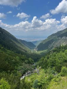a view of a valley with trees and a river at Apartament IRIS Băile Herculane in Băile Herculane