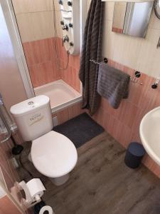 a bathroom with a toilet and a shower and a sink at Volšovy Apartment in Sušice