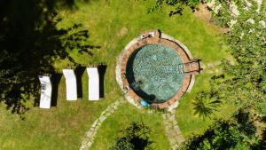 an overhead view of a swimming pool in the grass at B&B I Menhir "nel Bosco" - Affittacamere in Lerici +14 photos