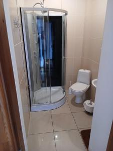 a bathroom with a shower and a toilet at Venta stay in Ventspils