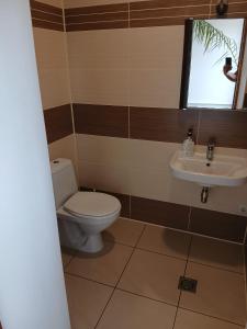 a bathroom with a toilet and a sink at Venta stay in Ventspils