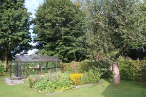 a greenhouse in a garden with flowers and plants at Les Pieds au vert in Limbourg