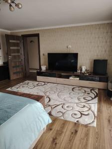 a bedroom with a bed and a flat screen tv at Casa Aura in Hunedoara