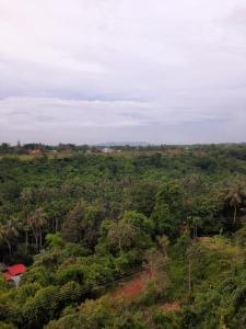 an aerial view of a forest of trees with a house at WeK Homes in Kumbla
