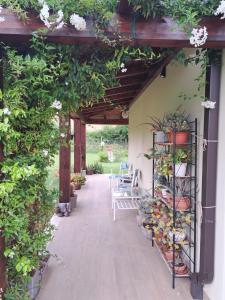 an outdoor patio with a pergola with flowers and plants at Calliope vacanze in Terni +16 photos