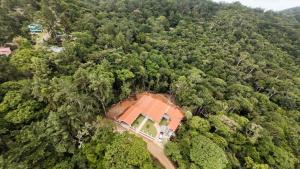 an aerial view of a house in the middle of a forest at Rustic House in Cerro azul in Cerro Azul
