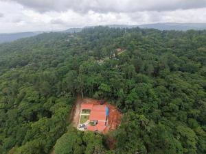 an aerial view of a house in the middle of a forest at Rustic House in Cerro azul in Cerro Azul +4 photos
