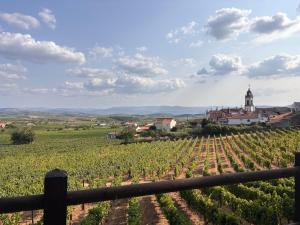 a view of a vineyard with a church in the background at Casa do Cruzeiro - Favaios in Favaios