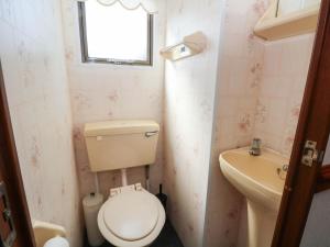 a small bathroom with a toilet and a sink at Buzzards Retreat in Wrexham +14 photos