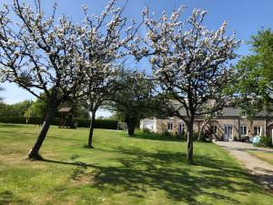 a group of trees in a yard with a house at Hill Crest Gite in Vengeons