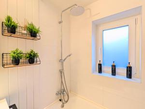 a shower in a bathroom with plants on the wall at Apartamento Casa Blanca in Tramacastilla de Tena +16 photos
