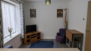 a living room with a television and a chair at The Annexe in West Buckland