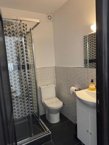 a bathroom with a toilet and a shower and a sink at Casa David in Rădăuţi