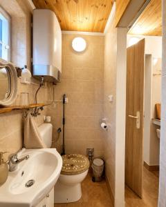 a bathroom with a white sink and a toilet at Cozy Studio in Szentendre +12 photos