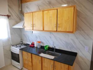 a kitchen with wooden cabinets and a sink and a stove at Ayinmai departamento C in Trelew