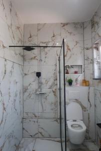 a bathroom with a toilet and a marble wall at JBM Appartement spéciaux Gare de Vilvorde - Bruxelles Airport &Brussel Expo in Vilvoorde +7 photos