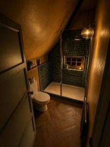 a bathroom with a shower and a toilet in it at Luxury Countryside Escape in Ipsden