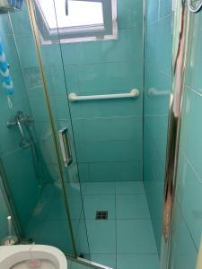 a bathroom with a shower and a toilet at Treeolives in Shkodër