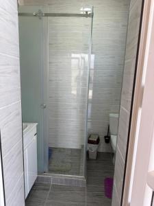 a shower with a glass door in a bathroom at Alpha White Resort in Koshkolʼ +3 photos