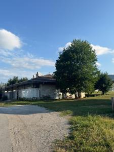 a house with a tree next to a gravel road at Studio Henigman in Dolenja Vas