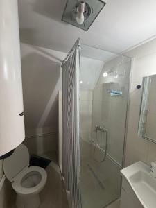 a bathroom with a shower and a toilet and a sink at Durmitor Den in Žabljak +17 photos