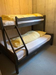 a couple of bunk beds in a room at Leilighet ved fjorden in Årak