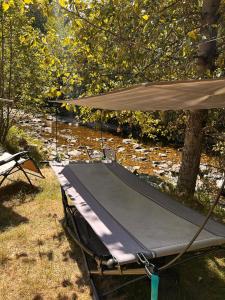 a tent sitting in the grass next to a tree at Privet creek side glamping in Chase