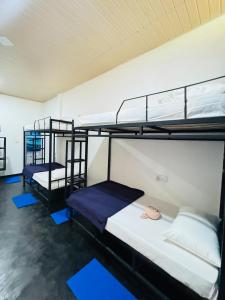 two bunk beds in a room with blue mats at Glowhaven Hostel in Sigiriya +12 photos