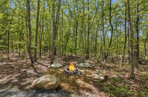 a campfire in the woods with rocks and trees at Menlo GA Tiny Home Experience in Rising Fawn