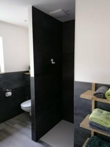 a bathroom with a toilet and a black wall at Auszeit an der Jümme in Detern +8 photos