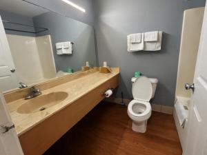 a bathroom with a sink and a toilet and a mirror at Crown Inn in Carrollton