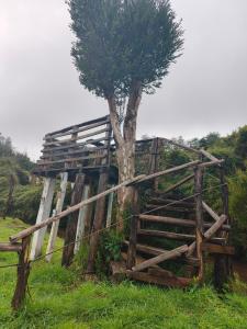a tree sitting next to a wooden structure at Birloche in Pindapulli