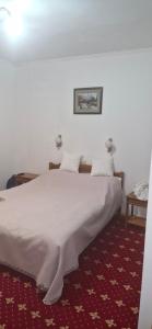 a bedroom with a white bed with a red carpet at Одисей in Chişinău