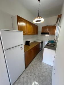 a kitchen with wooden cabinets and a white refrigerator at Ageon Amorgos in Amorgos