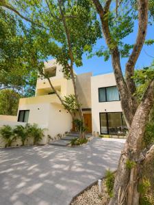 a house with a tree in front of it at Villa horizonte in Playa del Carmen