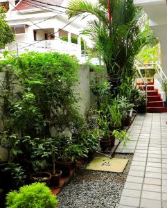 a room with plants in pots on the ground at GOOD KARMA INN Apartment in Cochin +1 photo