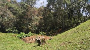 a pile of dirt on a grassy hill with trees at Sendero Ancestral in Guarne +2 photos