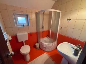 a bathroom with a shower and a toilet and a sink at Rustic Argesean in Corbeni +43 photos