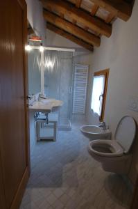 a bathroom with a toilet and a sink and a mirror at Agriturismo la paterna in Giavera del Montello