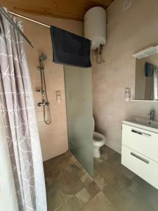 a bathroom with a shower and a toilet at Міні-готель На Росі in Steblëv +13 photos