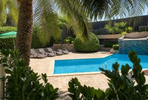 a swimming pool with chairs and a palm tree at Caruaru Pallace Hotel in Caruaru